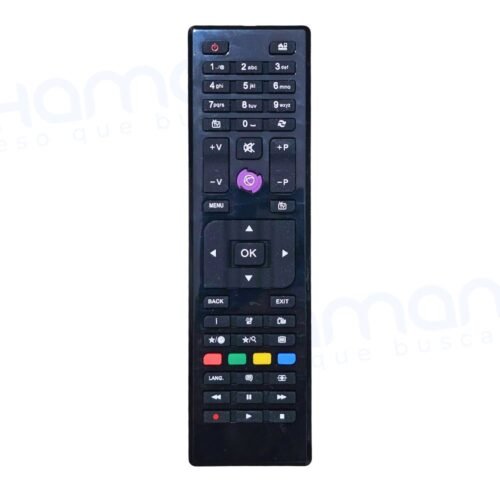 CONTROL REMOTO LCD SANYO (N787)
